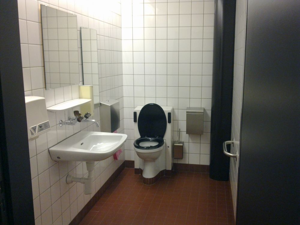 Rollstuhl-WC Y05-G-38: Innenansicht.