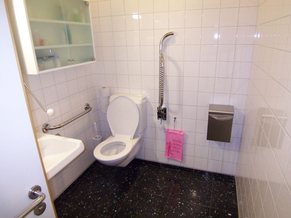 Rollstuhl-WC Y15-H-10D: Der Innenraum.