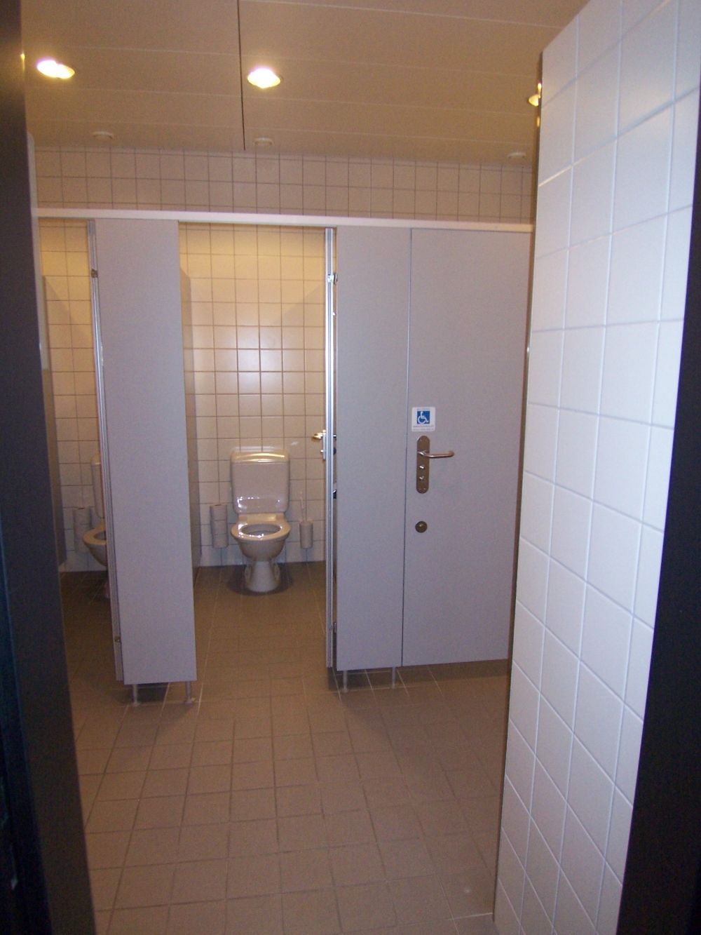 Rollstuhl-WC Y17-M-14B: Sicht von aussen.