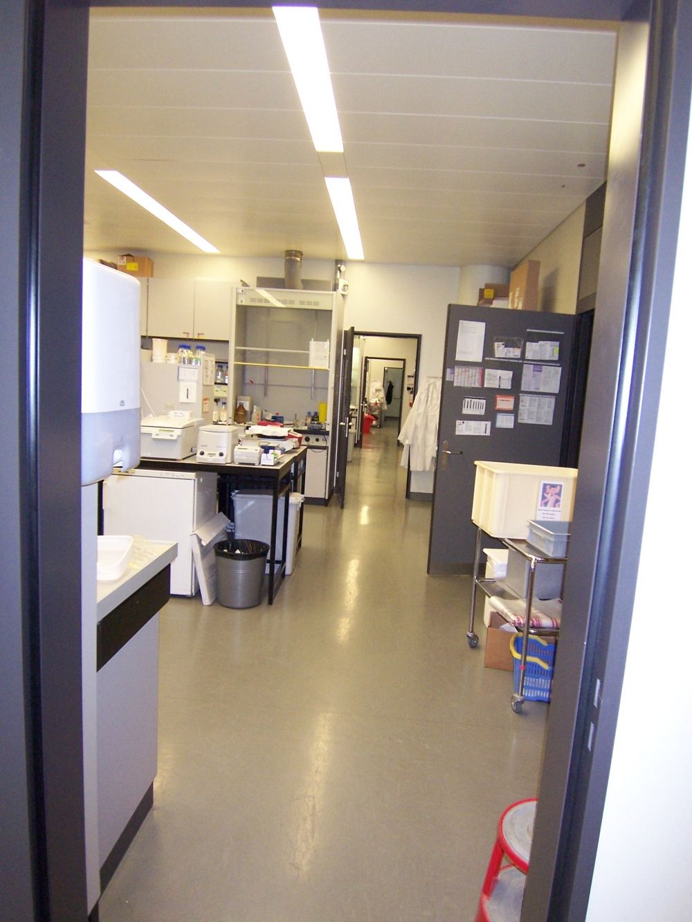 Labor Y17-K-84: Der Durchgang durch alle oben erwähnten Labors.