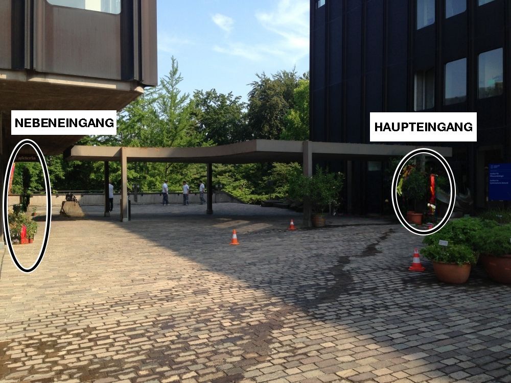 Gebäude BOT: Der Haupteingang des Hauptgebäudes beziehungsweise des Nebengbeäudes befindet sich auf Höhe des Erdgeschosses.

Dieser Bereich ist vom Rollstuhl-Parkplatz aus im Freien nur über Treppen erreichbar.