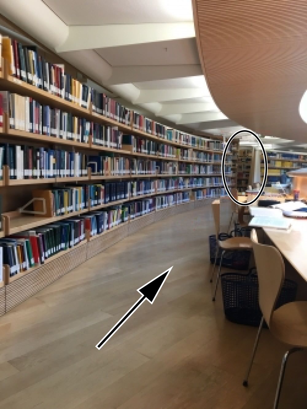 RAI-BIB-F, Parlatorium Nord 2: Zu den Parlatorien ein paar Meter geradeaus gehen bis zum Mittelpunkt des Gangs (mit Kreis markiert).
