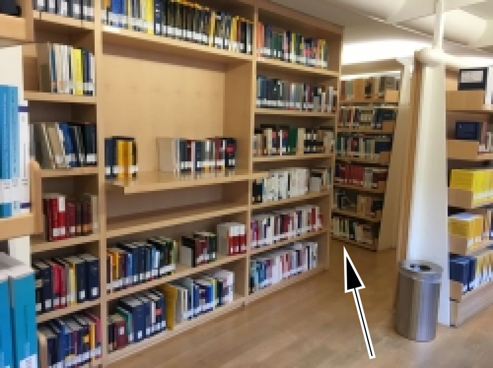 RAI-BIB-H, Parlatorium Nord 1: Die Parlatorien befinden sich zwischen den Bücherregalen links (Pfeil).