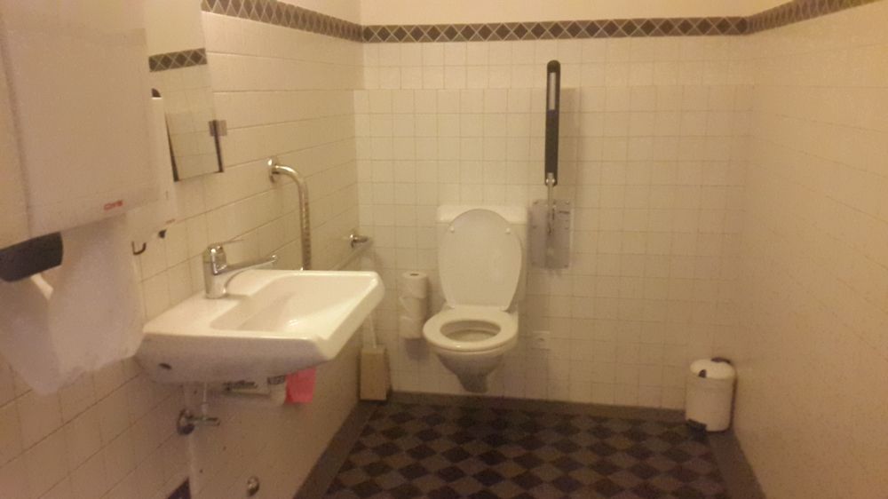 Rollstuhl-WC ZUB-4-403: Gesamtansicht.