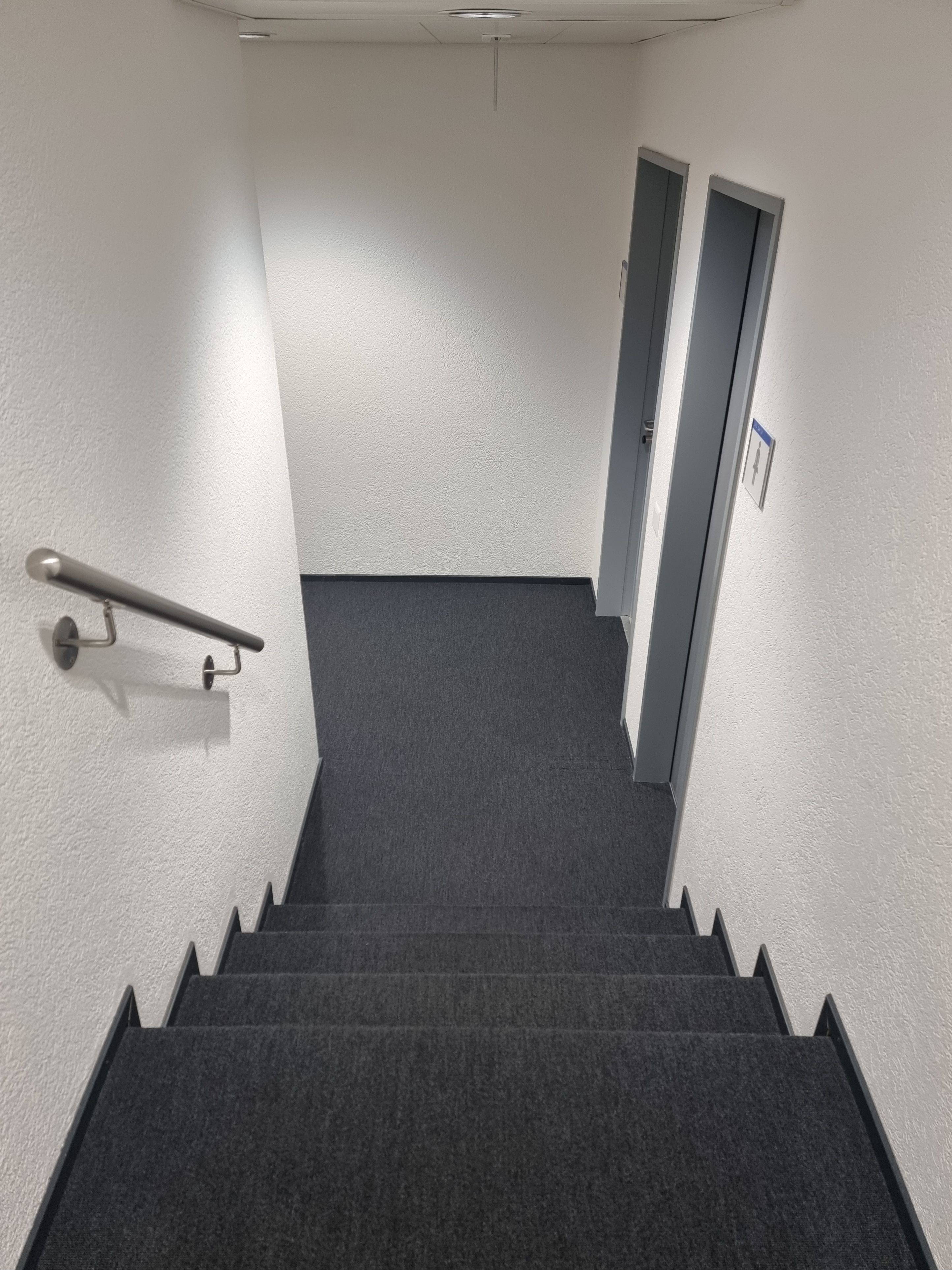 Da 728: Ein Bild der Treppe, die zum WC führt. Die Treppe hat vier Stufen. Auf der linken Seite der Treppe befindet sich ein Handlauf. Der Handlauf ist an der Wand montiert.