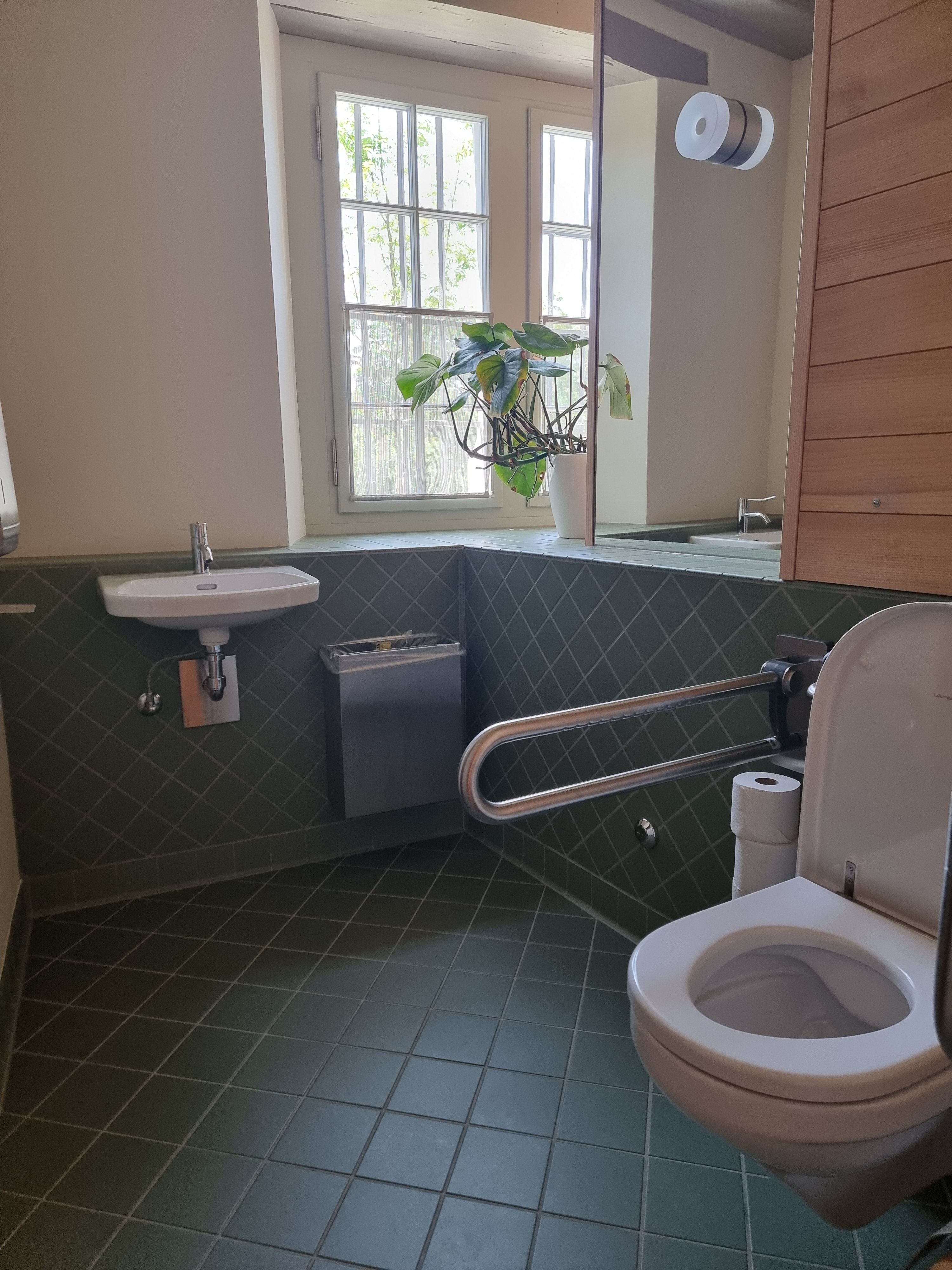 E-108: Bild des gesamten Rollstuhl-WCs von der Eingangsperspektive aus.