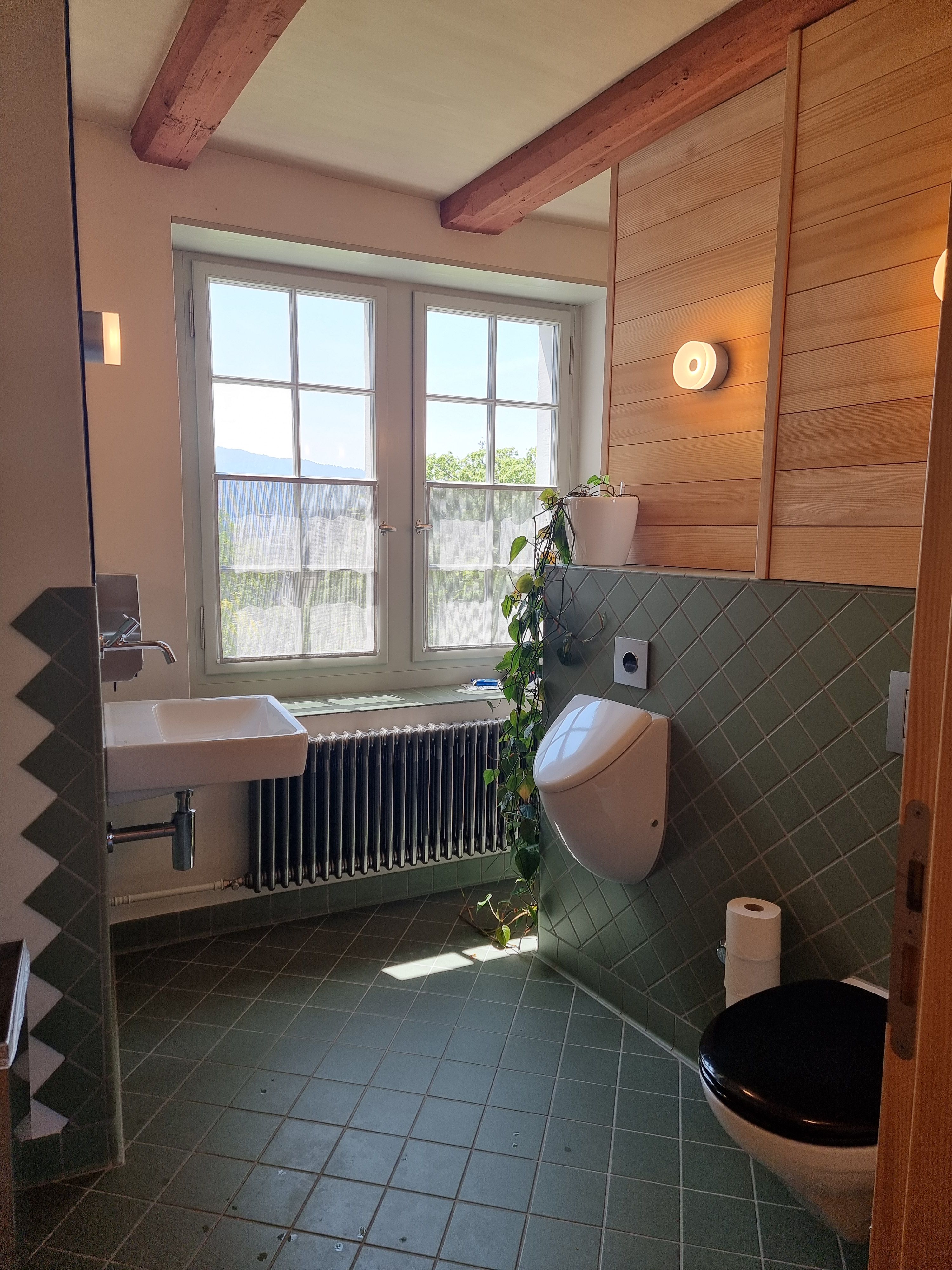 F-108: Blick von der Tür aus aufs WC. Das Licht ist an und man sieht das Pissoir und das Sitzklo. Das Pissoir hat einen Deckel, den man manuell aufklappen muss. Gegenüber vom Pissoir ist das Waschbecken. Es hat ein grosses Fenster, das sich öffnen lässt. Neben dem Pissoir hängen die Ranken einer Pflanze herunter.