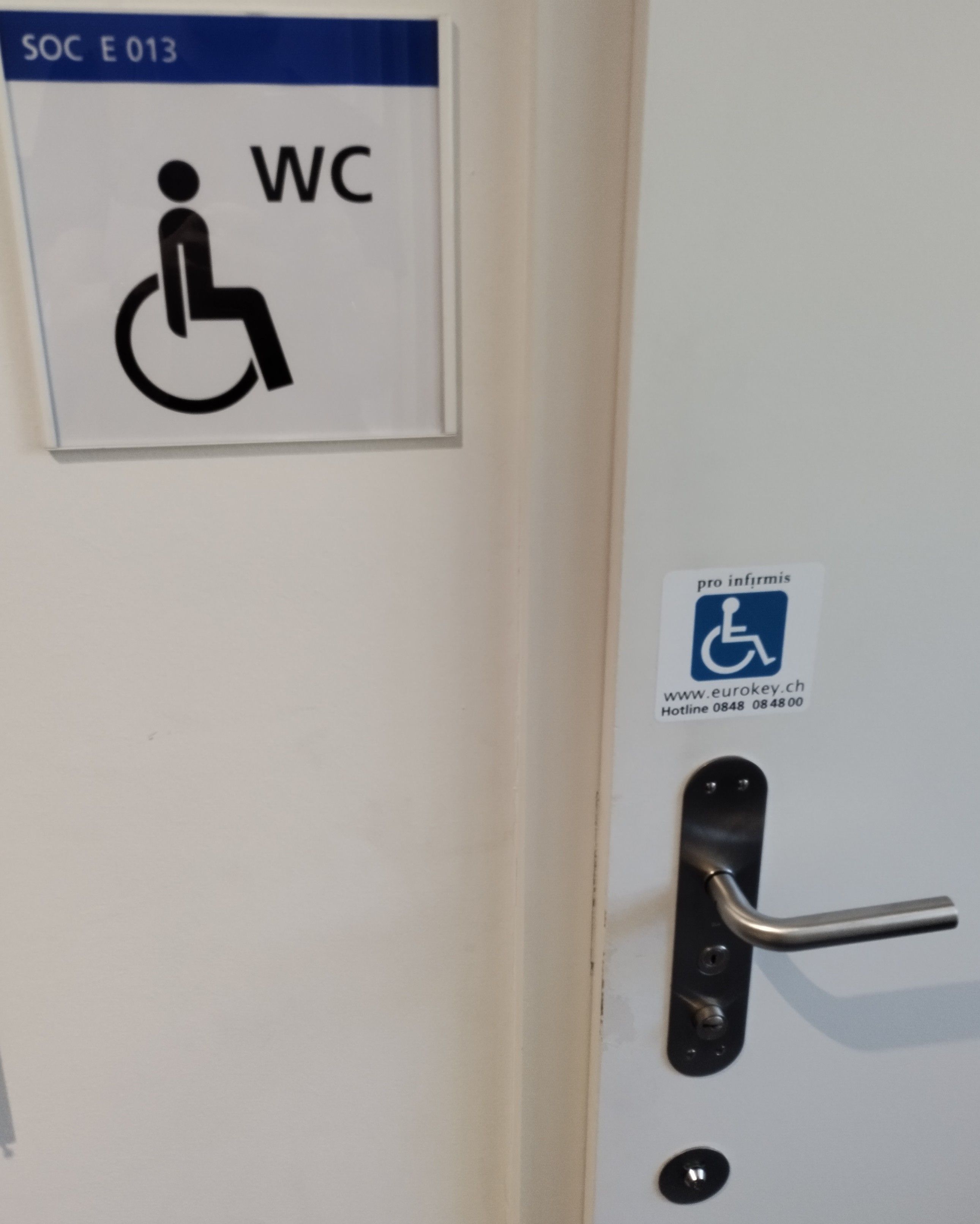 Rollstuhl-WC SOC-E-013: Nahaufnahme der Türe