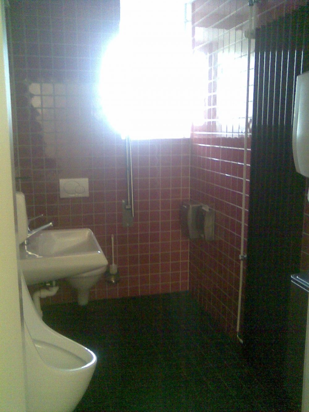 Rollstuhl-WC PLD-E-01: Pissoir.