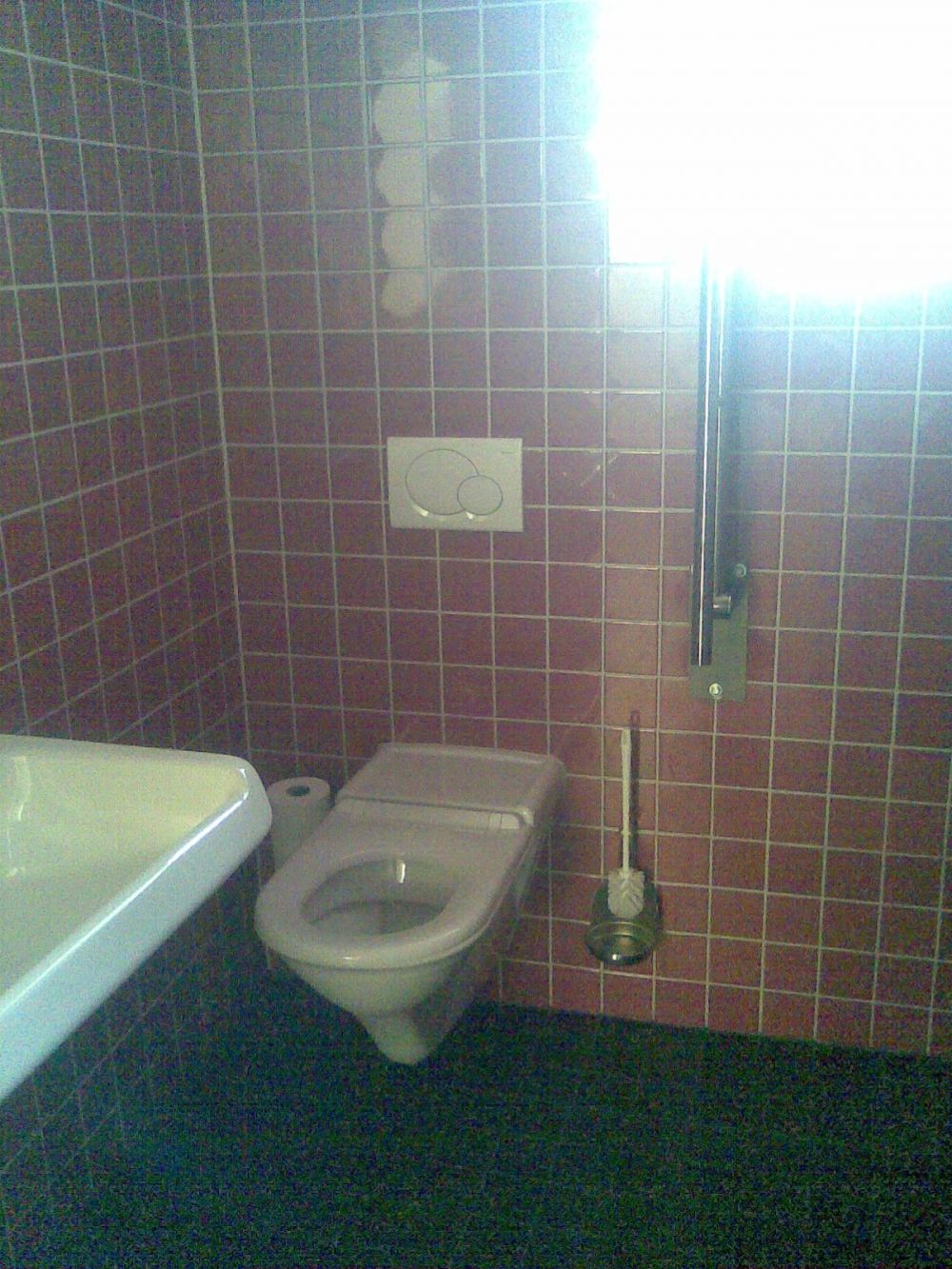 Rollstuhl-WC PLD-E-01: Toilette.