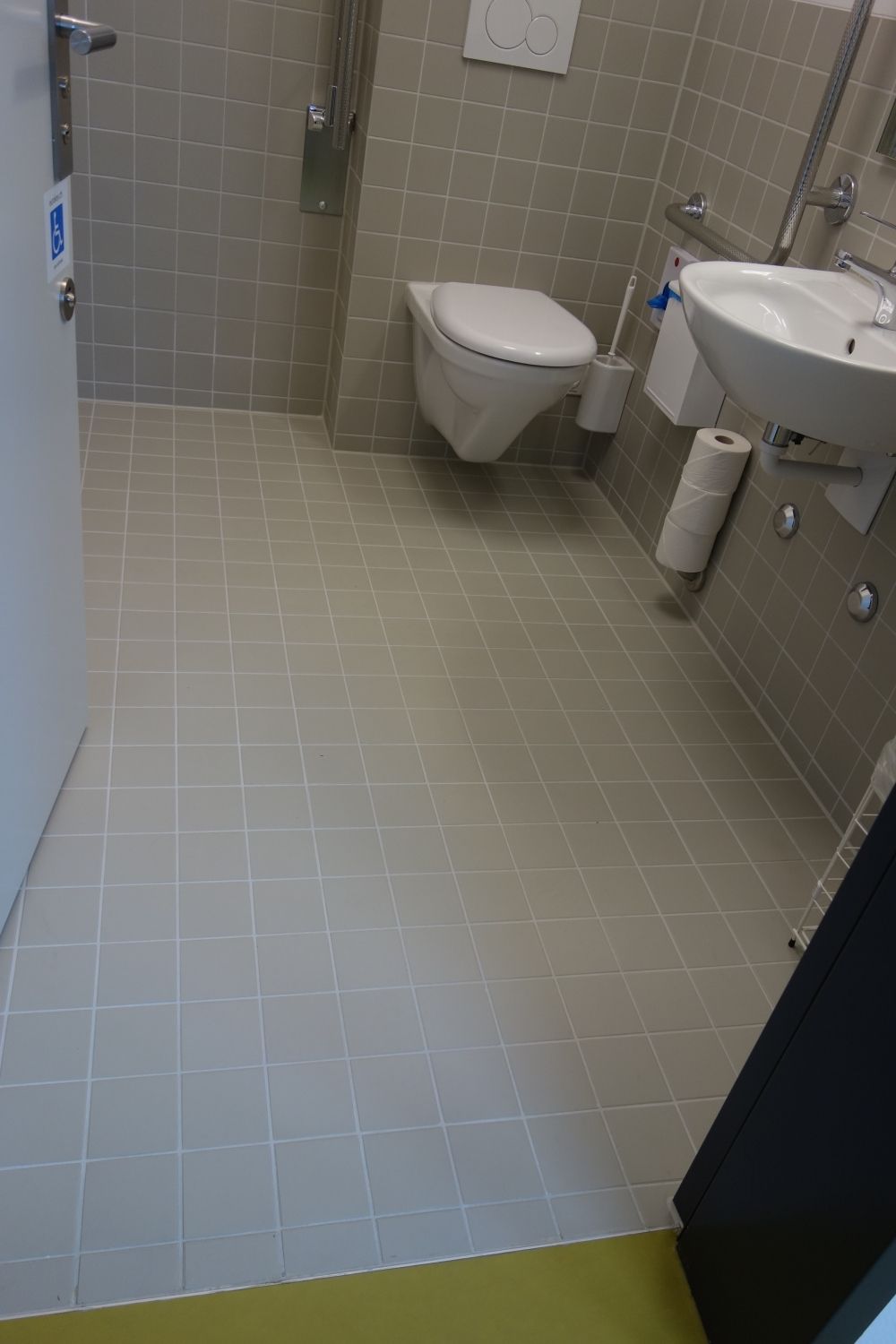 Rollstuhl-WC RAA-H-24: Blick ins Rollstuhl-WC von der Tür her.