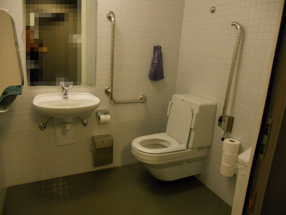 Rollstuhl-WC MEN-A-13A: Innensicht des Rollstuhl-WCs.