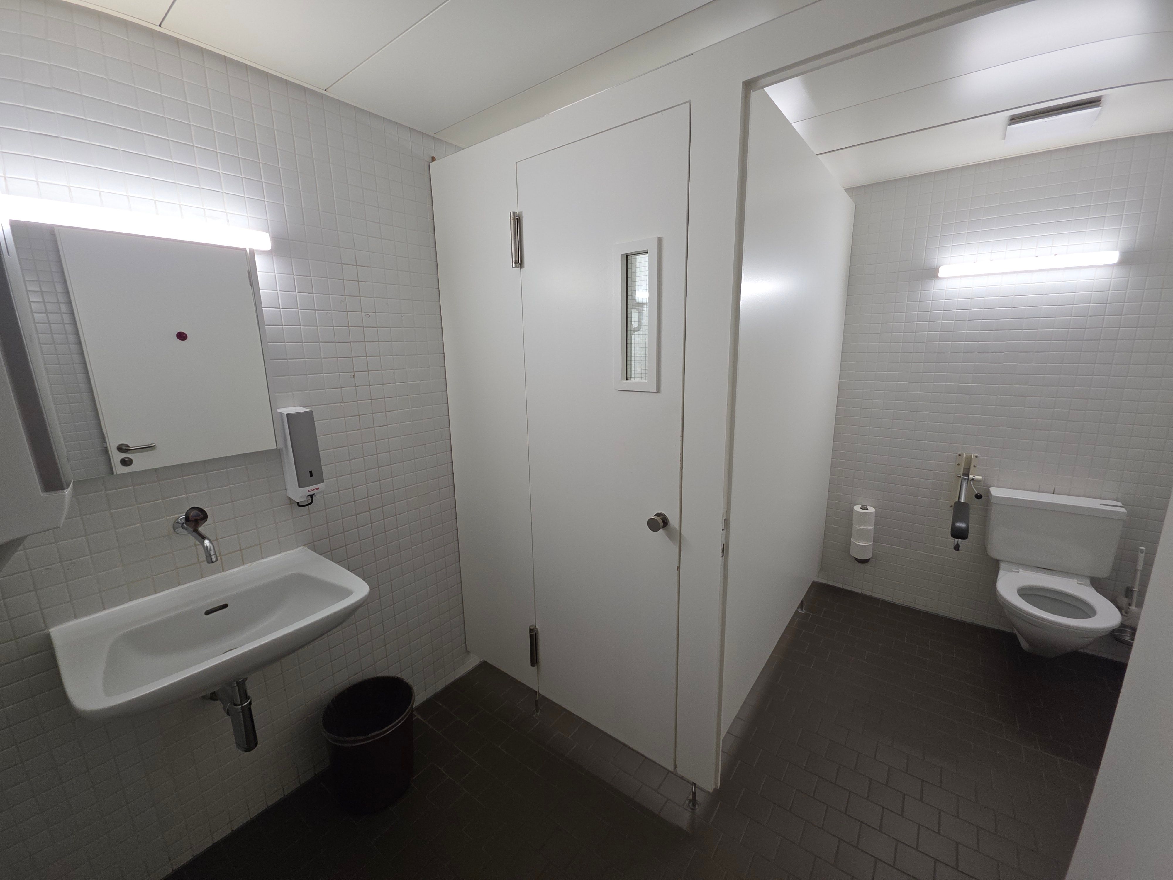 PLG-113: Gesamtansicht des Herren-WCs vom Eingang aus. Das Waschbecken ist von der Tür aus links gelegen. Die Kabine mit Pissoirs und die Kabine mit dem Sitzklo befinden sich direkt gegenüber vom Eingang. Man sieht die geschlossene Türe der Kabine mit den Pissoirs auf der linken Seite, und die offene Kabinentür des Sitzklos auf der rechten Seite.