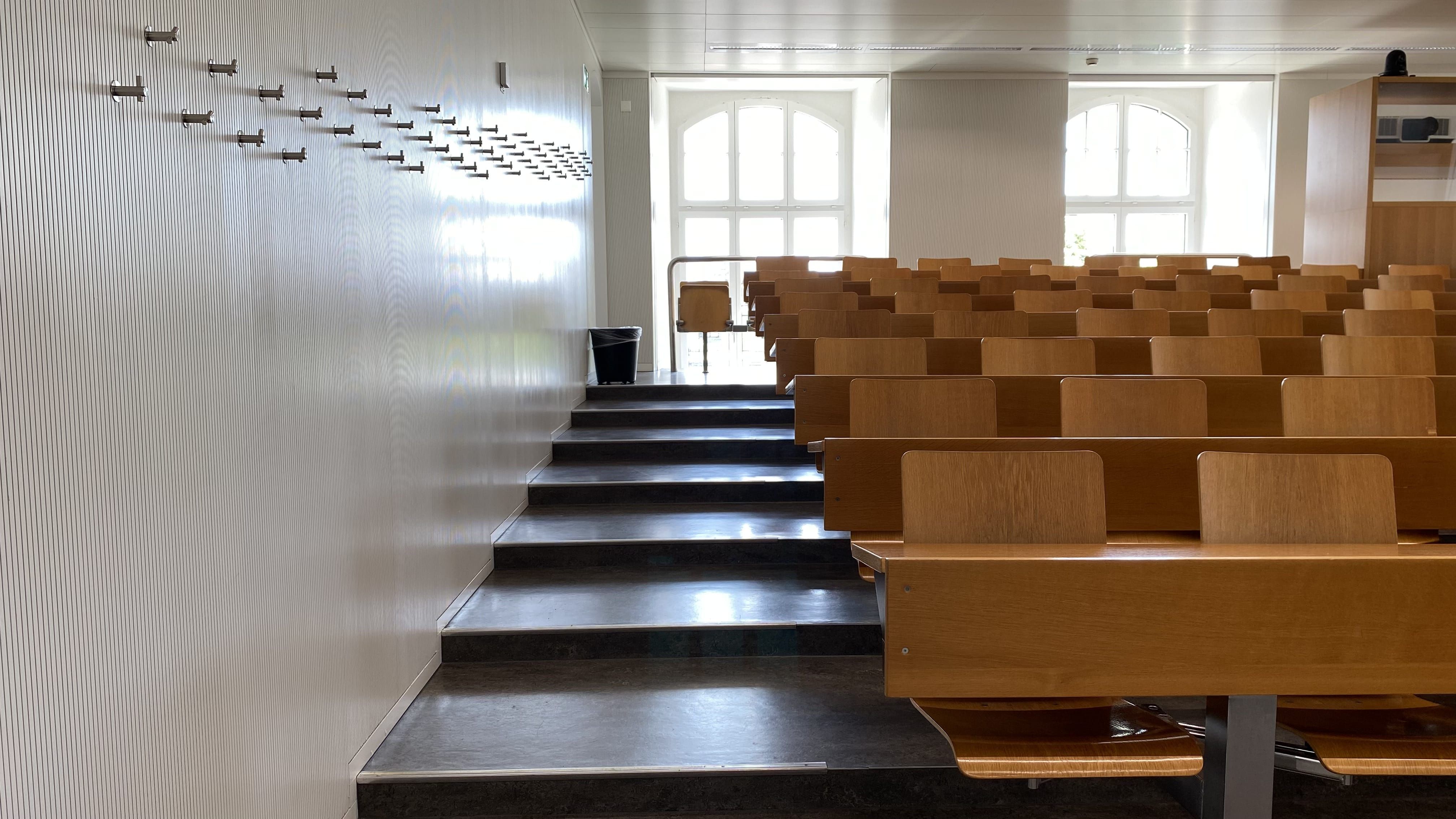 Hörsaal RAI-H-041: Ansicht auf die Stufen, die links und rechts im Raum zu der hintersten Reihe führen.