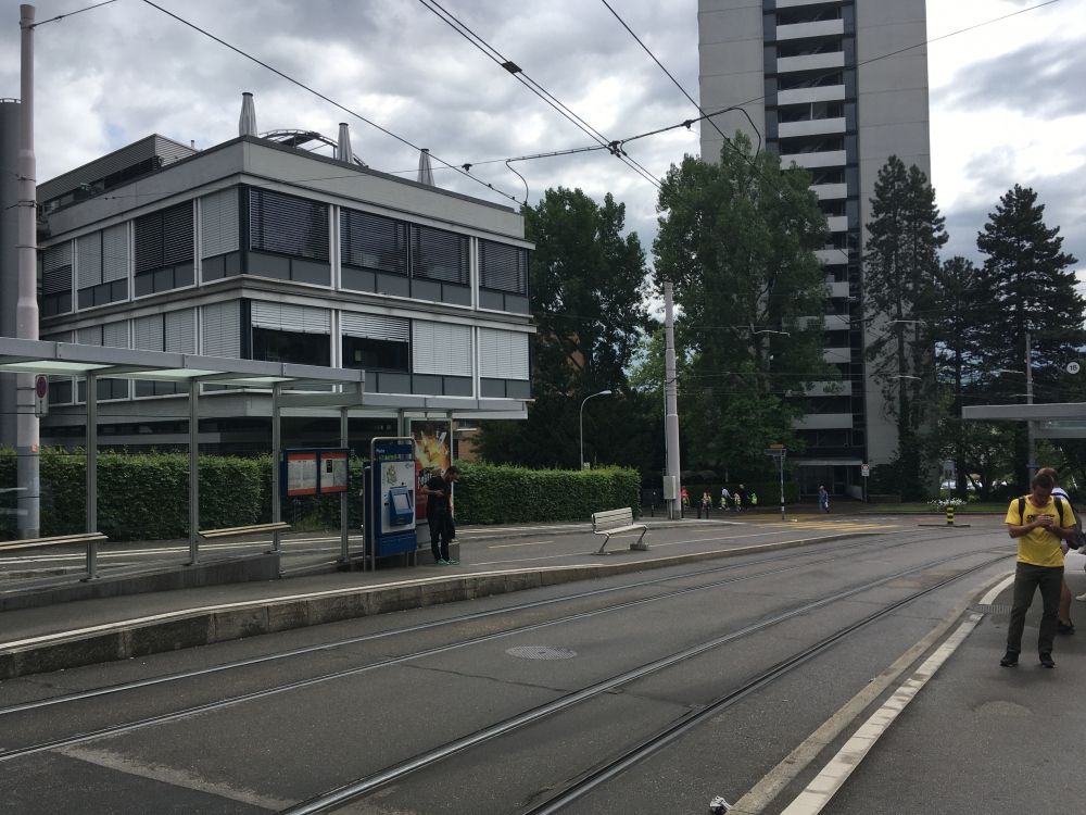 Gebäude PLR: Blick von der Haltestelle Platte in Richtung PLR. Das Gebäude liegt hinter den Bäumen zwischen den sichtbaren Häusern.