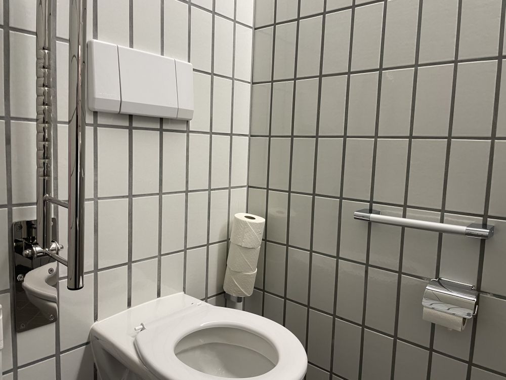 Rollstuhl-WC KO2-E-59: Ellen- und Klappgriff. Spülung auf Kopfhöhe (sitzend).