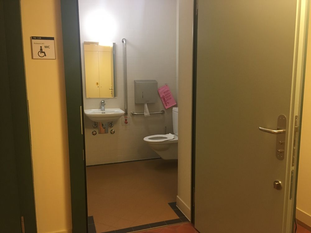 Rollstuhl-WC Y63-E-29: Eingangstüre und Innenansicht.