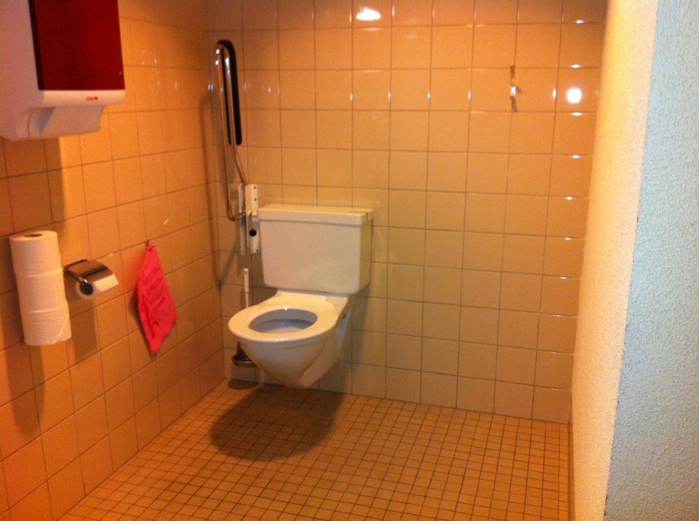 Rollstuhl-WC RAK--1-104: Rollstuhl- und Damen-WC.