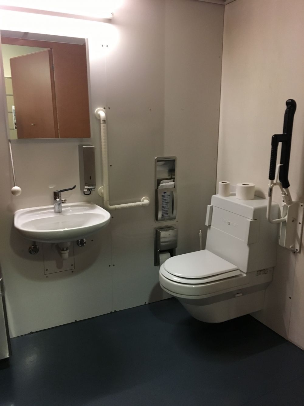 Rollstuhl-WC ZUG-D-71: Blick nach innen von der Tür.