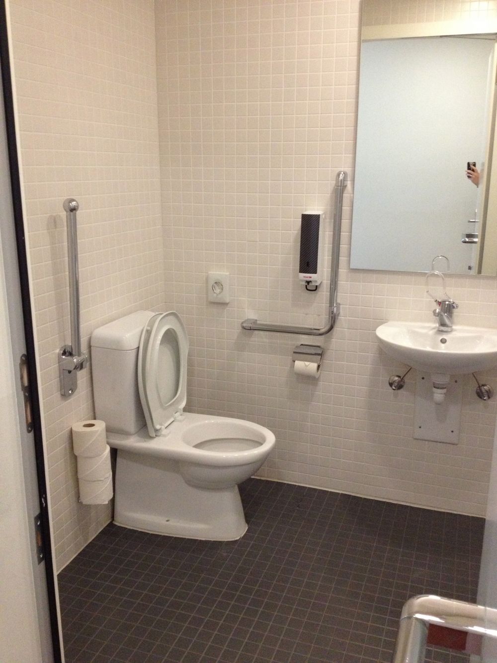 Rollstuhl-WC RAI-BIB-L-115: Rollstuhl-WC (Innenraum).