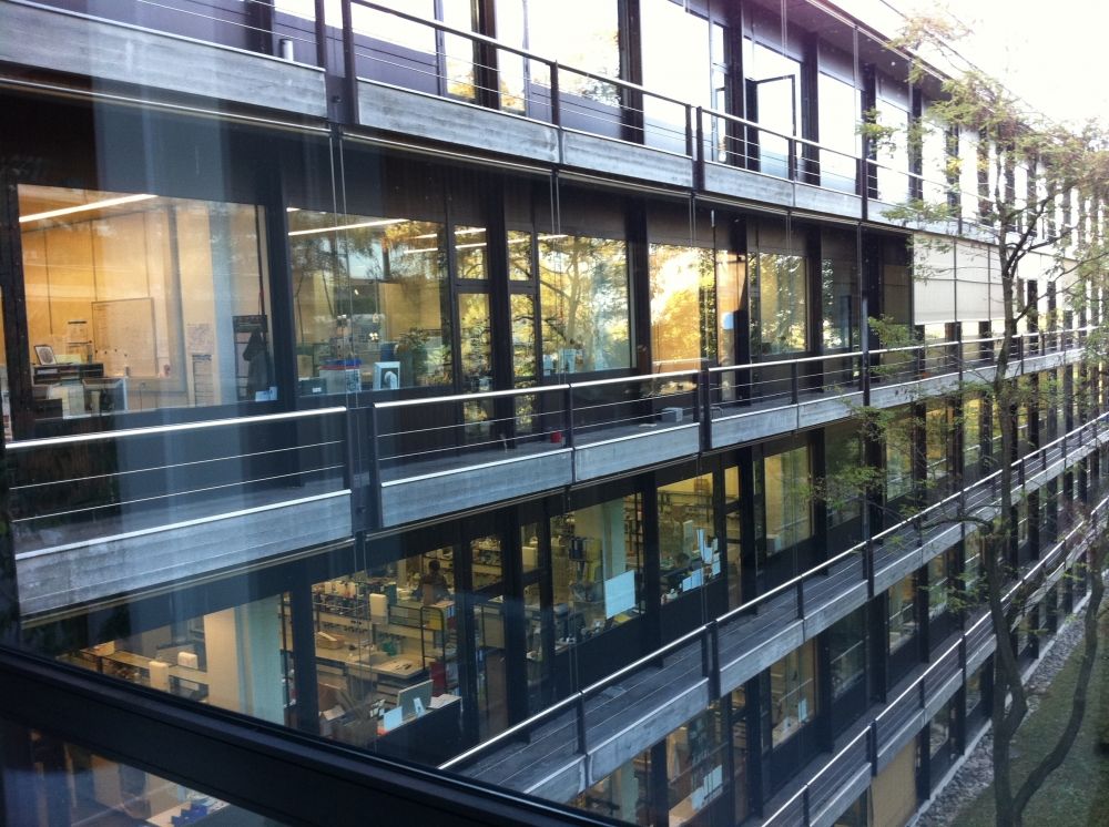 Y11-G, Balkon/Terrasse: Fluchtbalkone (hier sieht man, dass man über die Praktikums Räume bzw. Labors zu den Fluchtbalkonen gelangt).