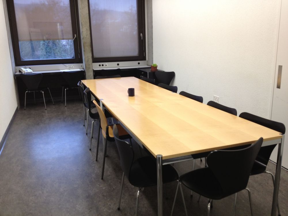 Sitzungsraum BOT-0-12: Sitzungsraum von der Eingangstüre aus.