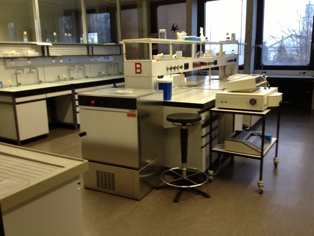 Praktikumsraum BOT-P2-38: Praktikumsraum mit den Labortischen.