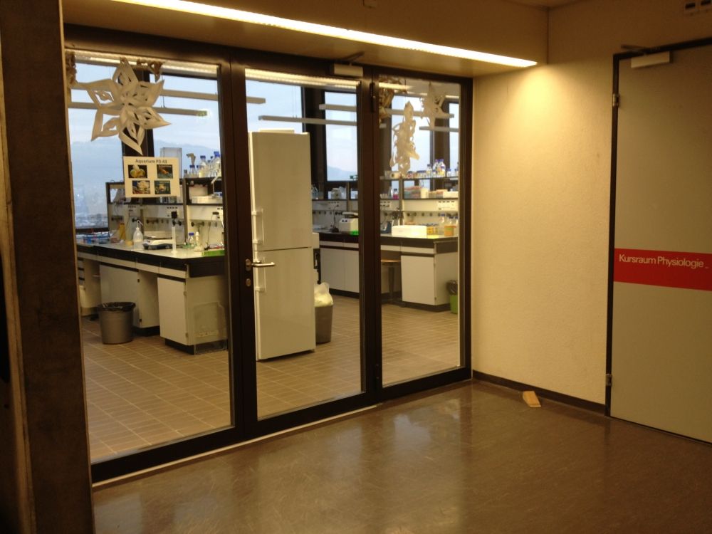 Praktikumsraum BOT-P3-43: Praktikumsraum.