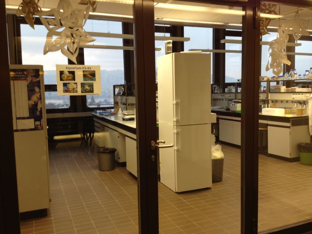 Praktikumsraum BOT-P3-43: Praktikumsraum.