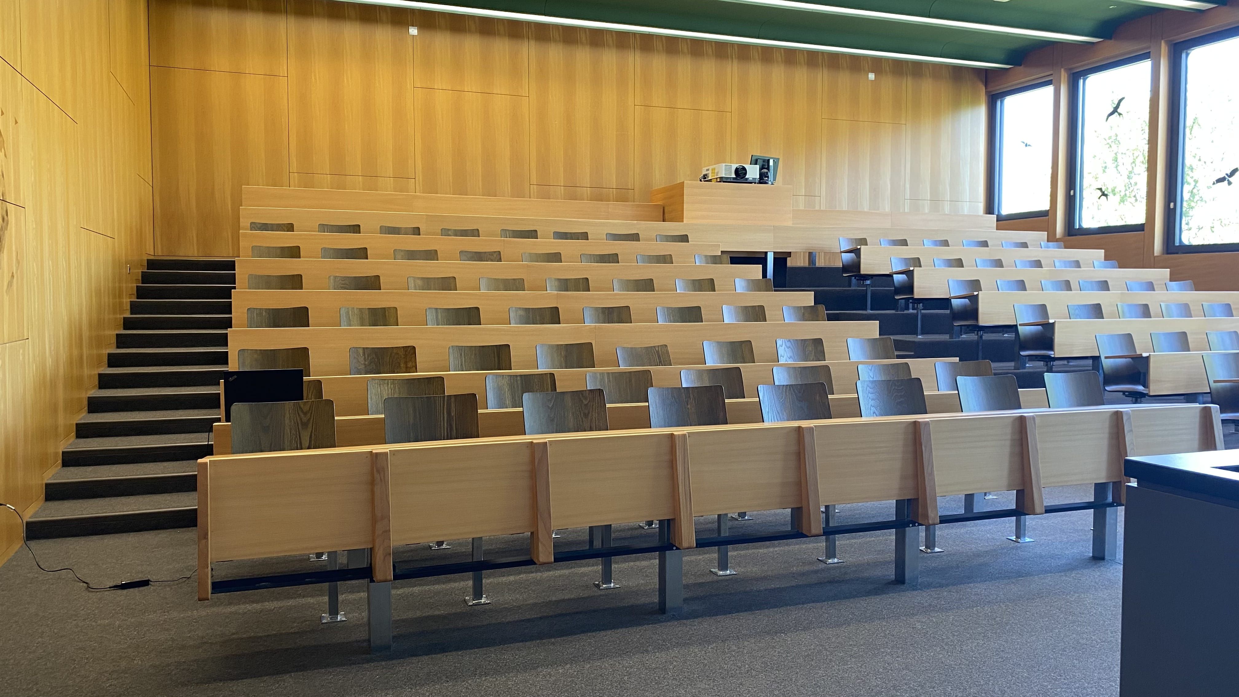 Hörsaal BOT-P1-40: Ansicht auf den Raum von der Eingangstüre aus. Treppenstufen links, in der Mitte, und rechts im Raum.