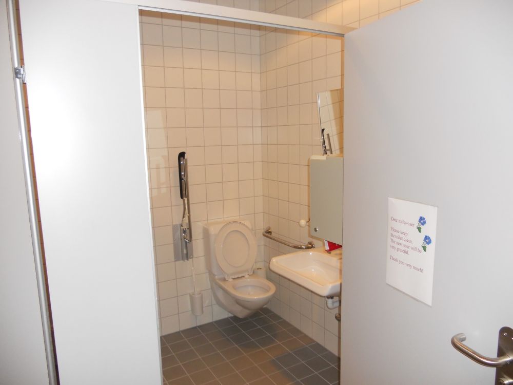Rollstuhl-WC Y17-L-14B: Blick ins Rollstuhl-WC hinein.
