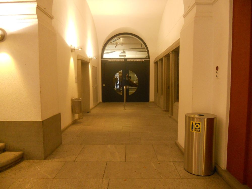 KO2, Stockwerk E: Eingang Zoologisches Museum und Paläontologisches Museum. (Dieser Gang erstreckt sich auf der rechtens Seite der Eingangshalle).