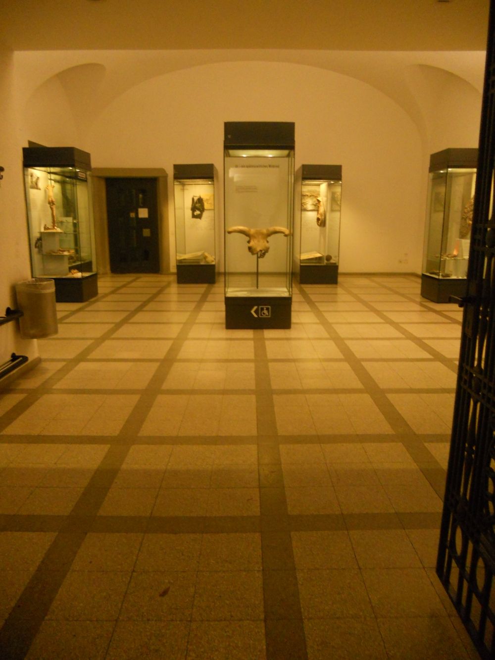 KO2, Stockwerk E: Eingang Paläontologisches Institut (rechts vom Eingang zu den Museen) der Hauptlift befindet sich auf der linken Seite des Raumes, etwas versteckt.