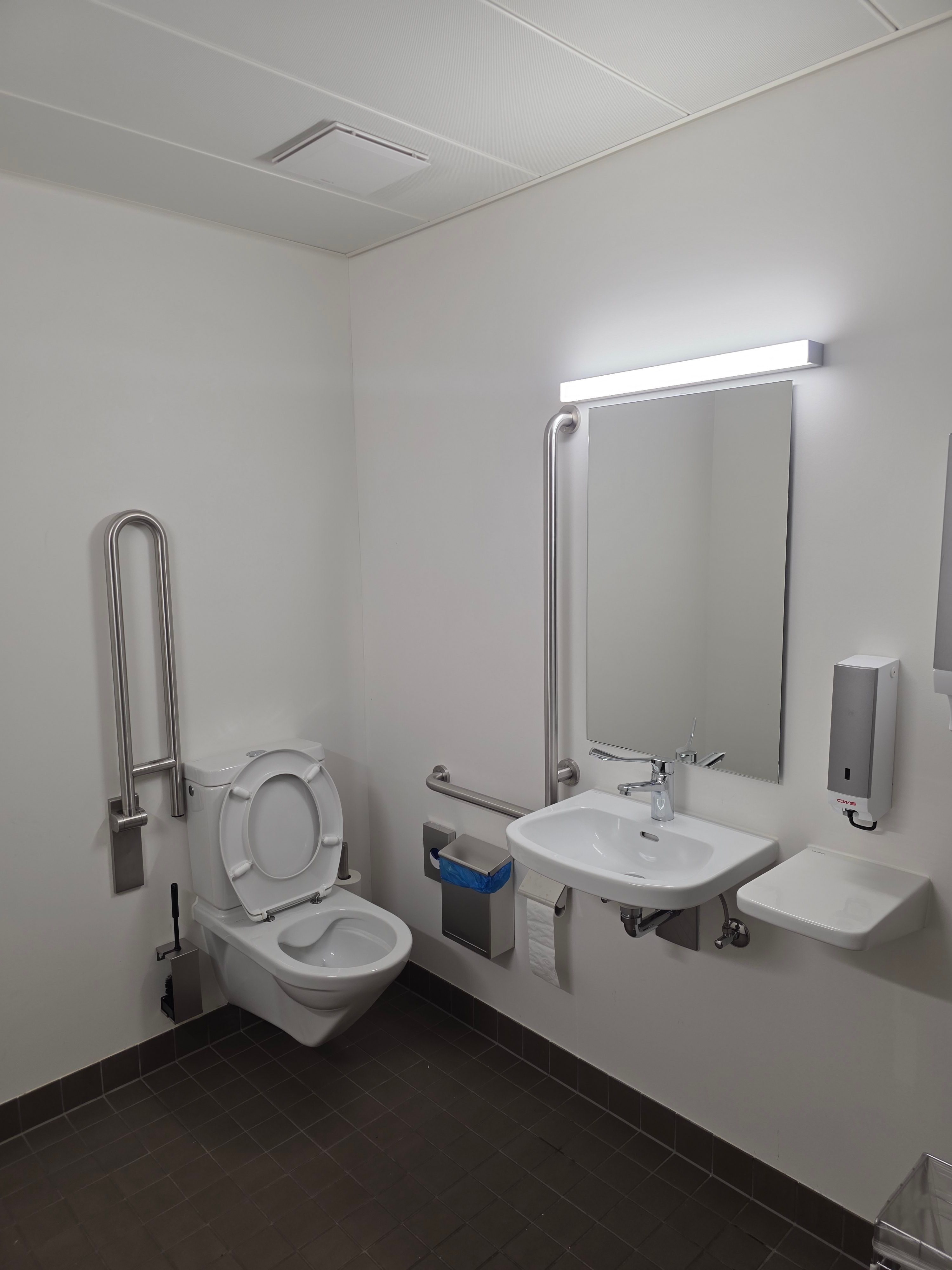PLG A-011: Nahansicht des barrierefreien WCs. Der klappbare Haltebügel ist hochgeklappt an die Wand.