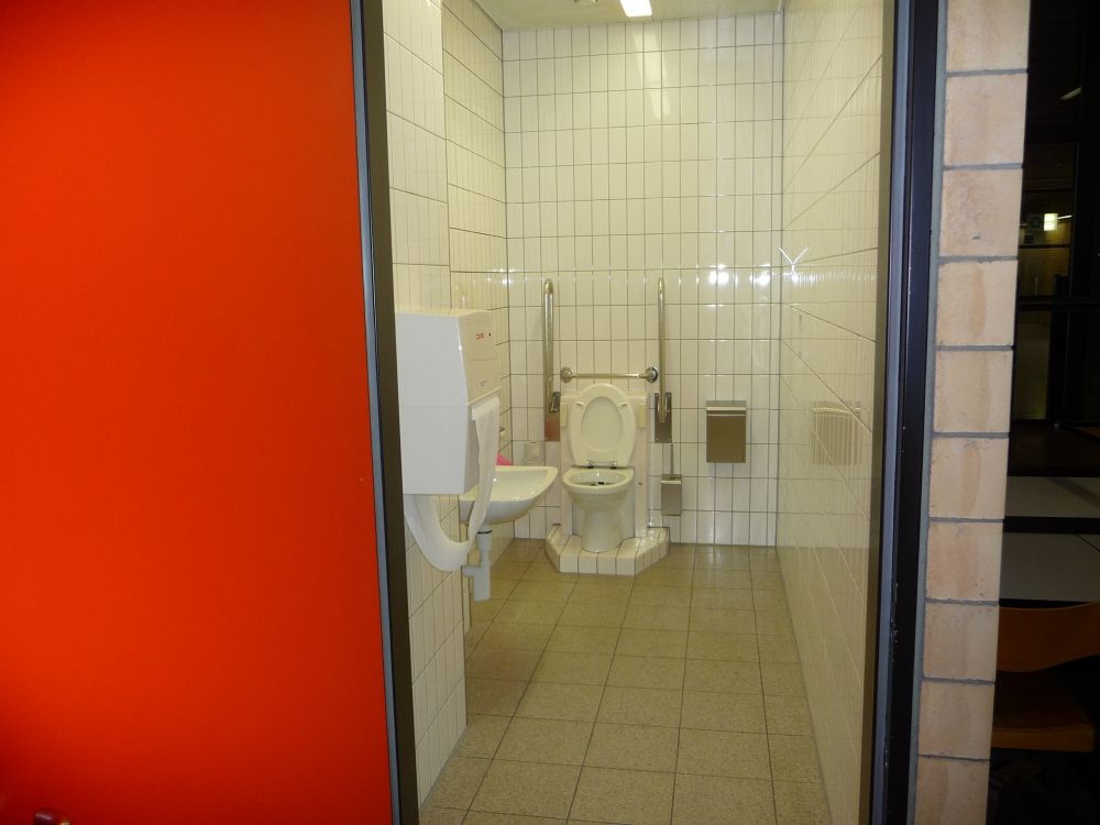 Rollstuhl-WC Y23-G-7: Rollstuhl-WC von der Tür aus gesehen.