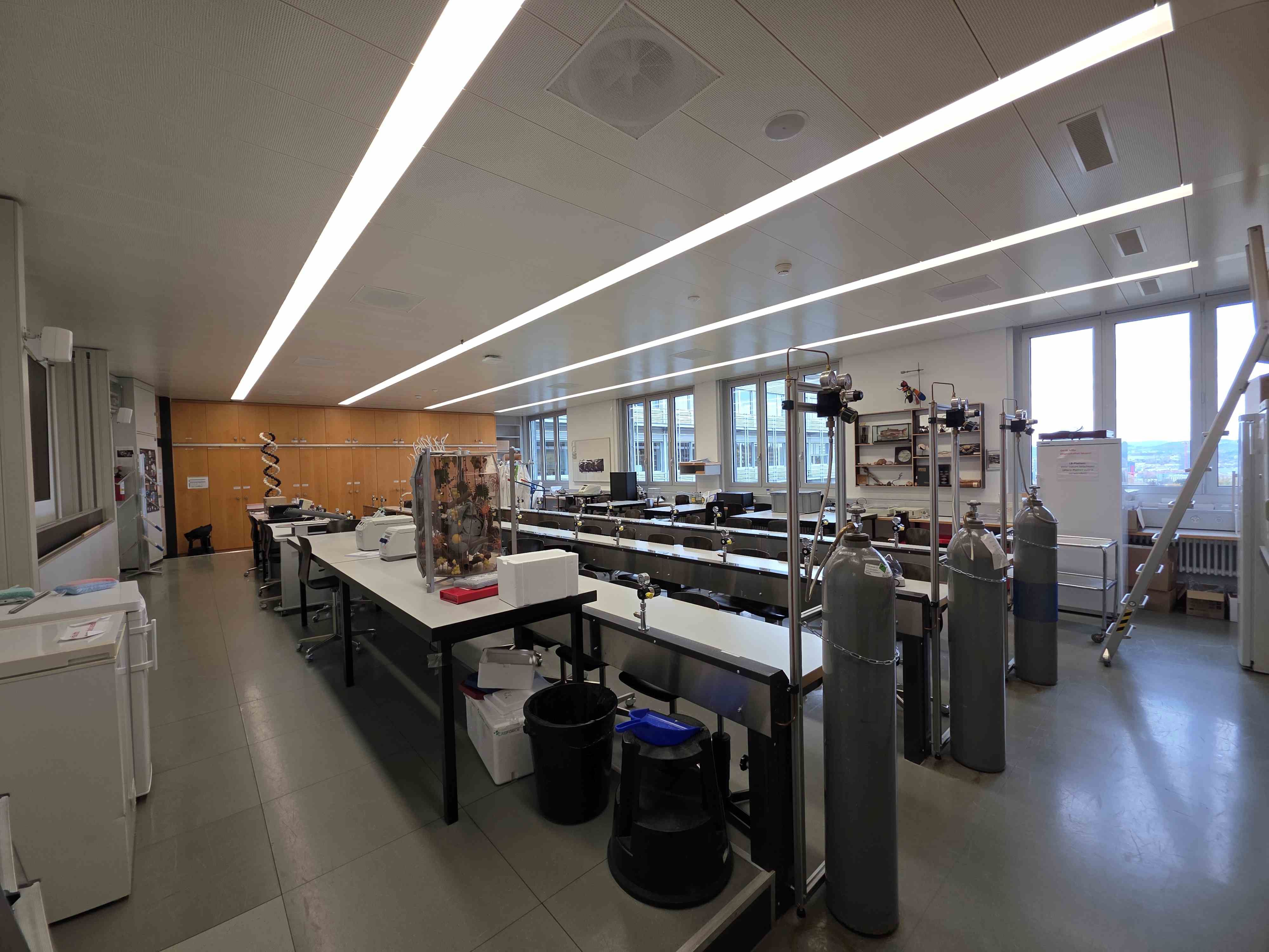 Labor Y17-L-05: Blick auf das Zimmer vom rechten Eingang aus.