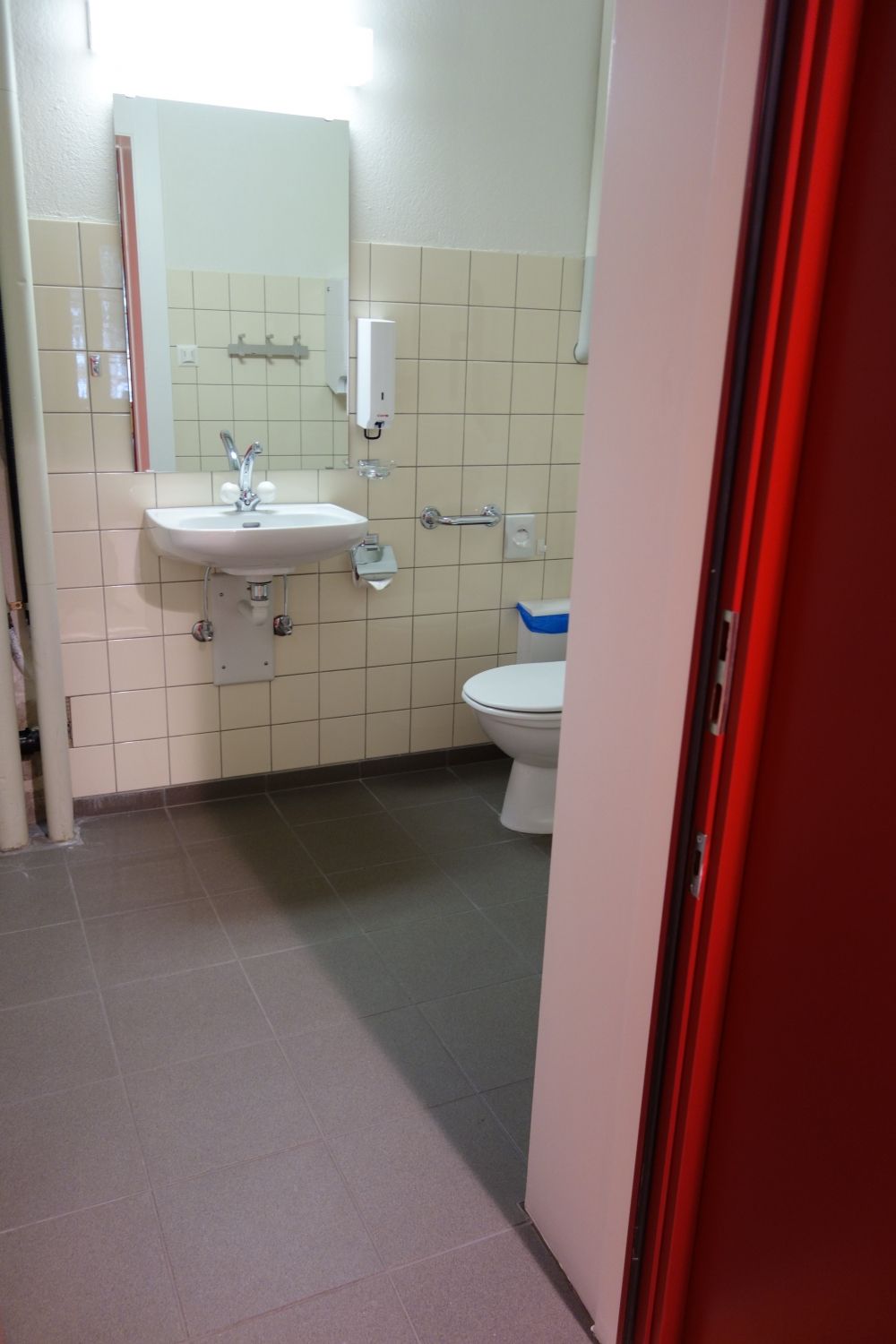 Rollstuhl-WC SOF-E-03: Rollstuhl-WC von der Tür her gesehen.