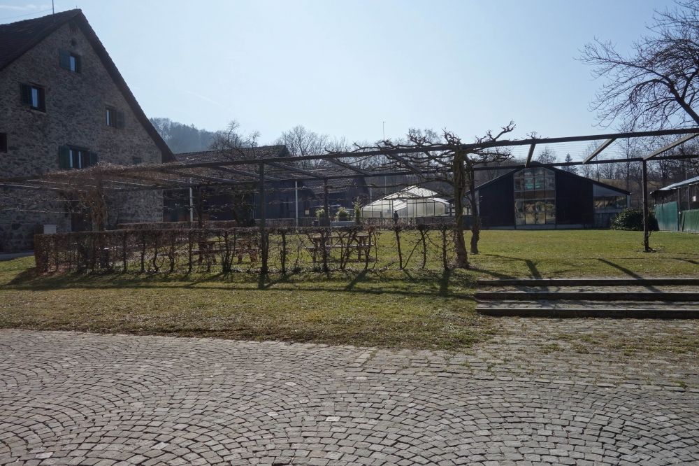 Gebäude Y63: Lerngarten vor dem Haus.