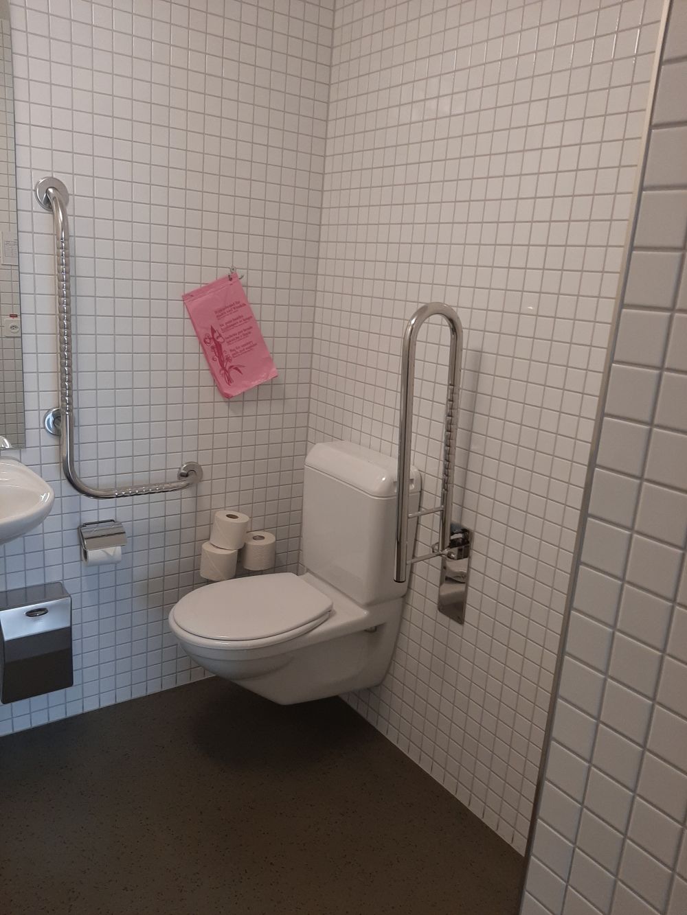 Rollstuhl-WC KOL-G-208c: Gesamtansicht Rollstuhl-WC.