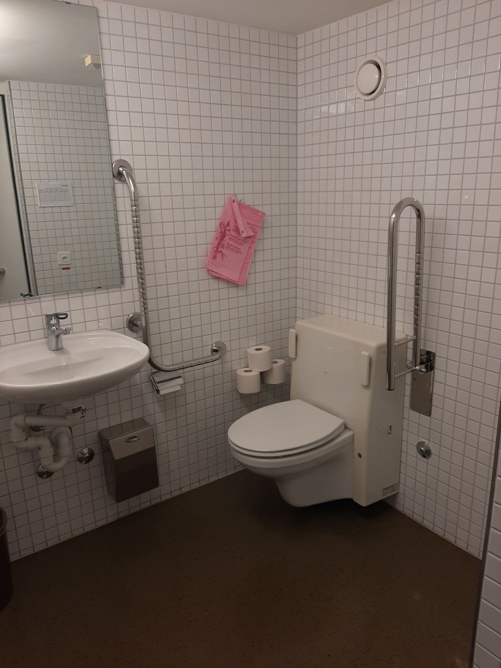 Rollstuhl-WC KOL-E-19b: Gesamtansicht Rollstuhl-WC.