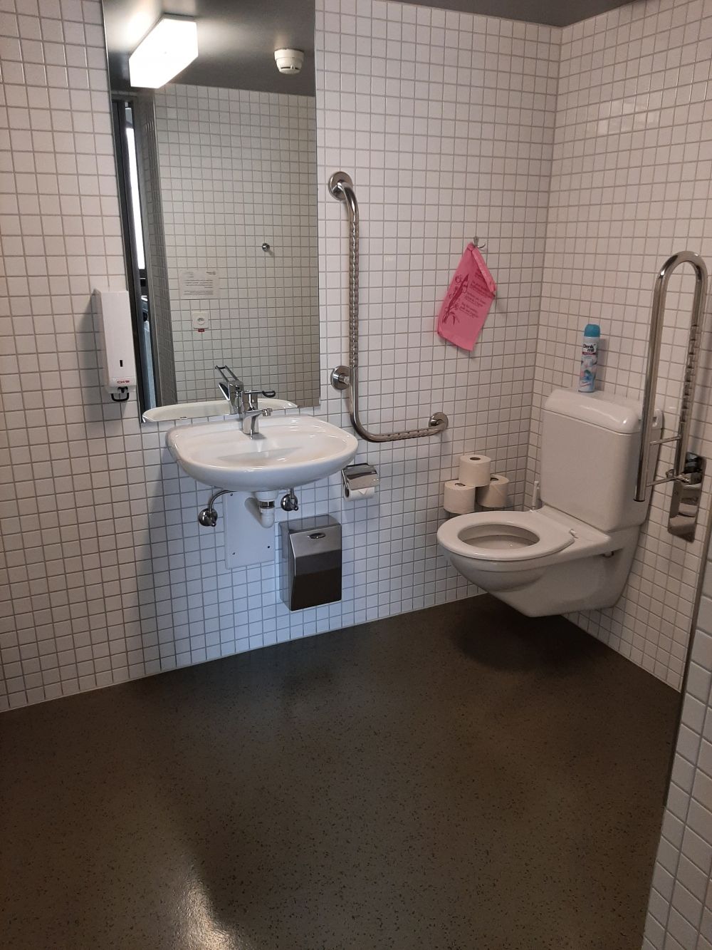 Rollstuhl-WC KOL-F-108c: Stütz- und Klappgriff, Rollstuhl-WC.