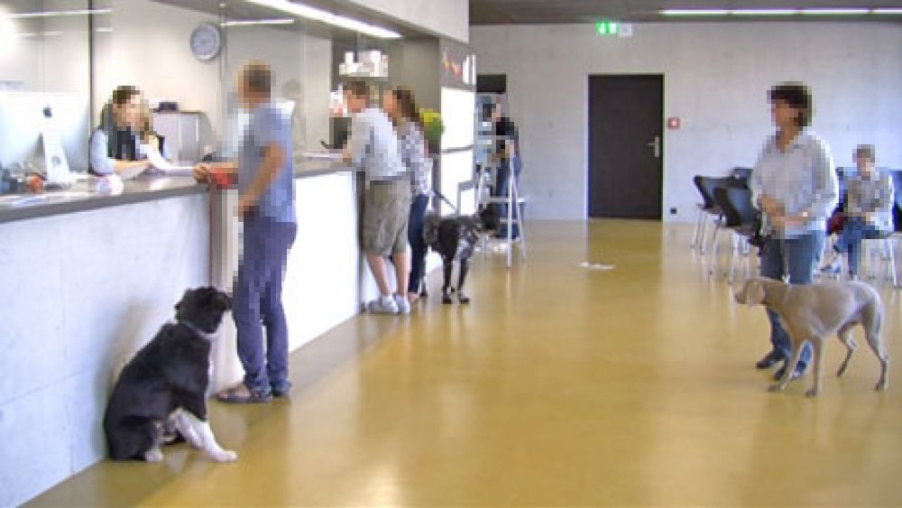 Schalter TKK-00-19A: Empfang.