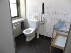 Rollstuhl-WC KIR-1-108A: Innenansicht Toilette und Wickeltisch.