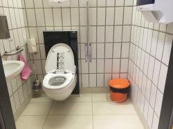 Rollstuhl-WC Y30-E-35C: Innenbereich der Toilette.