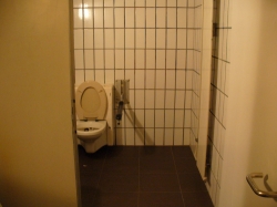 Rollstuhl-WC Y50-D-08A: Innenansicht der Rollstuhl-Toilette, innerhalb der Herren-WC-Anlage.