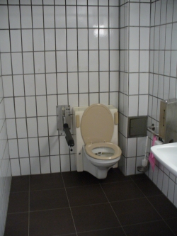 Rollstuhl-WC Y50-D-09A: Innenansicht Rollstuhl-WC.